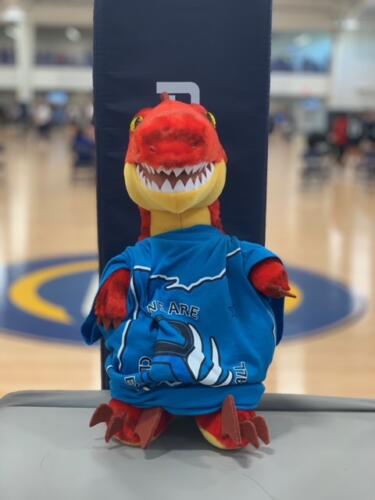 14A Sap Mascot IMG 0456 (002)